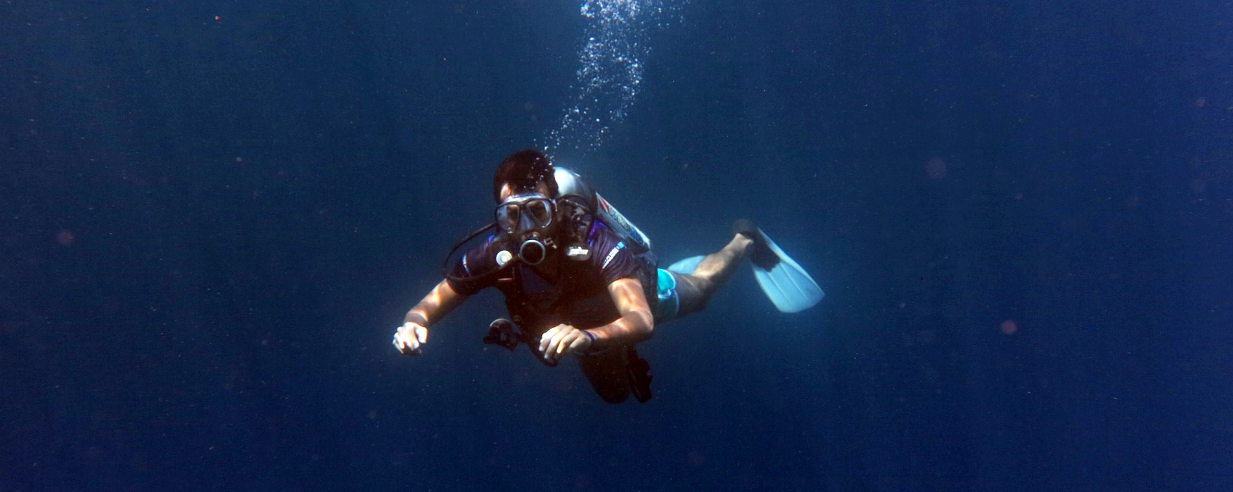 Summer Adventure: Scuba Diving In La Media Luna